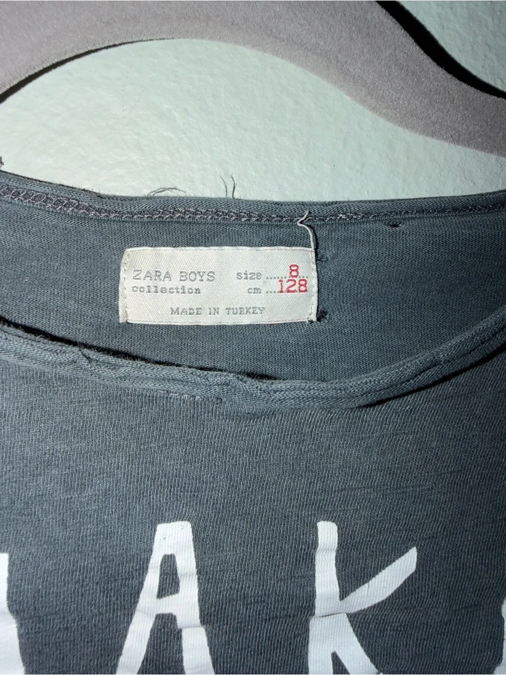 Zara Gray Long-Sleeve Graphic Tee with Blue Skull and Red Rose